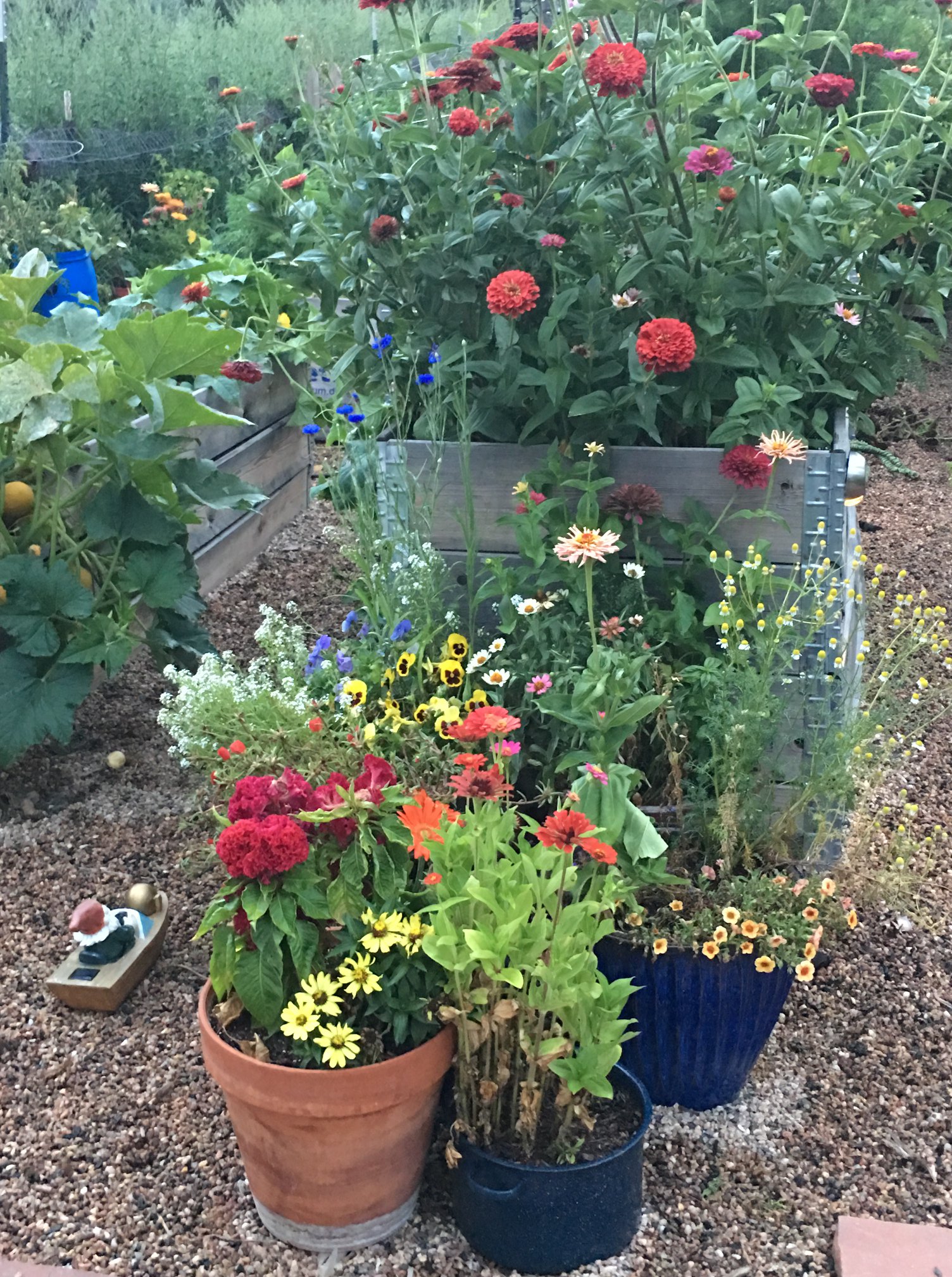 Raised Garden Beds for Sale 16.00 each! OPEN MonFri 9am330pm